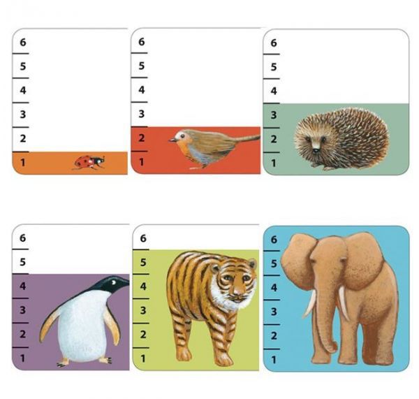 Карточная игра Djeco Волшебные картинки  фото 2