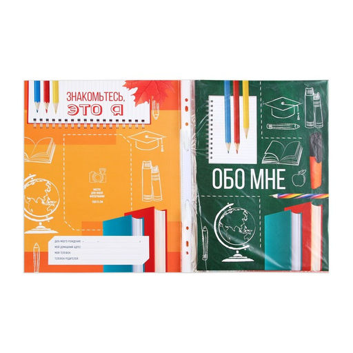 Папка школьная с креплением «Портфолио школьника», 10 листов-разделителей, 21.5×30 см