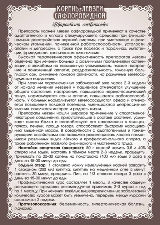 Левзея сафлоровидная (корень) - Мариславна фото 3