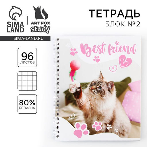Цена за 3 шт. Тетрадь в клетку, 96 л., А5, на спирали, блок №2 Котик