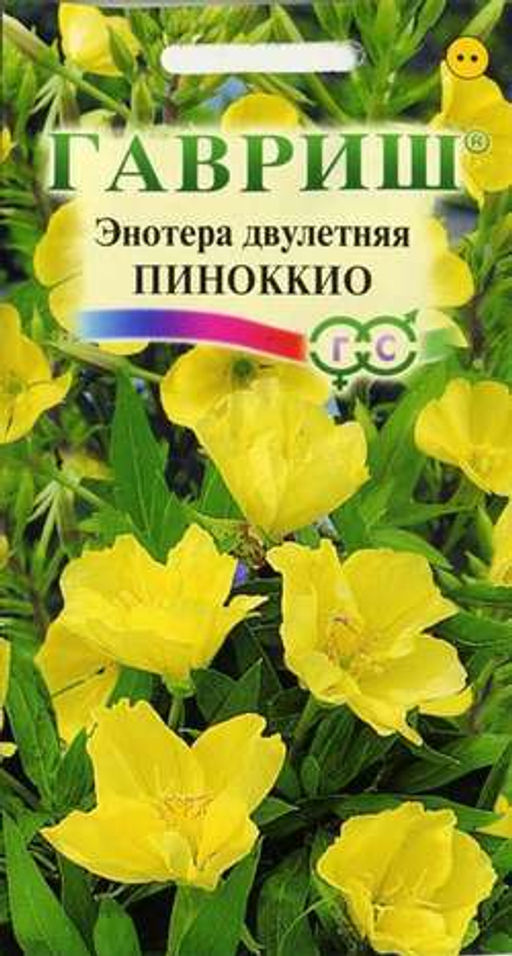 Энотера Пиноккио двулетняя 0,3гр (г)