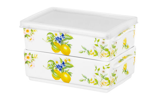 Набор 2 блюд д/холодца 700 мл 19*12*11,5 см Лимоны NEW BONE CHINA - Elan gallery фото 9