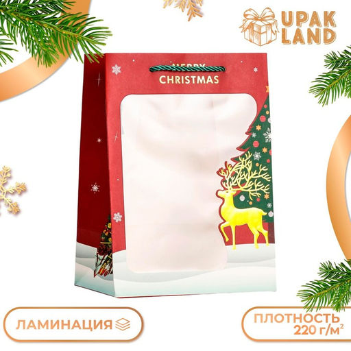 Цена за 10 шт. Пакет подарочный новогодний ламинированный, с окном Новогодний, 25?18?13 см