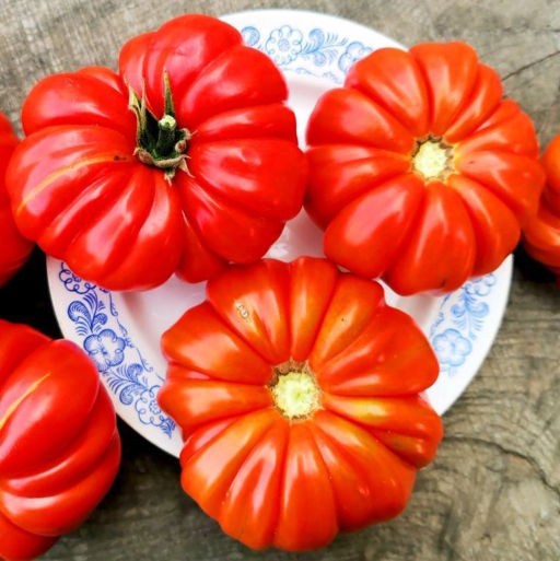 Помидоры Марманд от Мадам Гарньер из Парижа - MARMANDE GARNIER Tomatoes