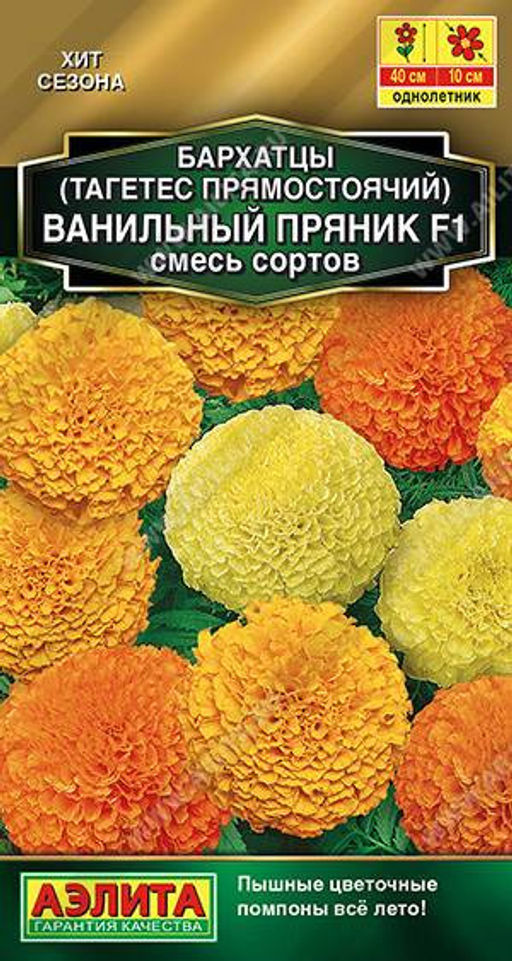 1252A Бархатцы Ванильный пряник F1, смесь сортов 5шт