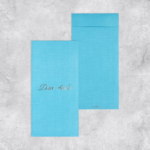 Набор подарочных конвертов «Поздравляю», 10 штук, тиснение, 11 х 22 см