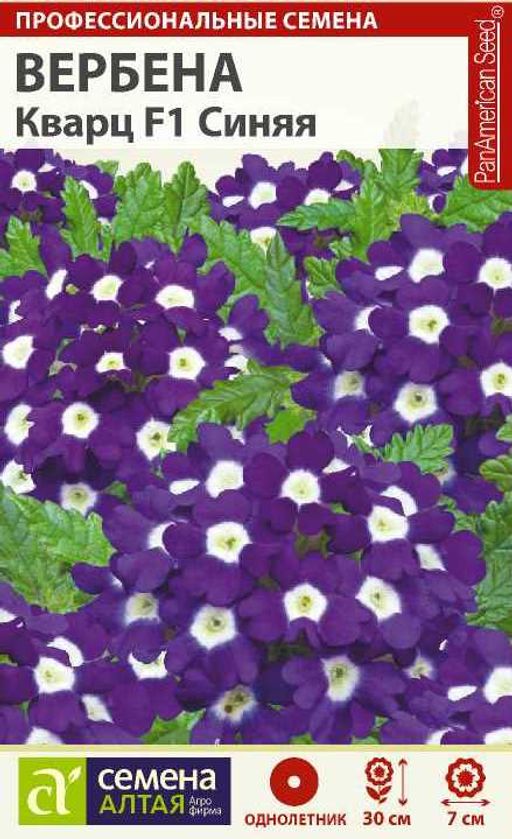 Вербена Кварц Синяя/Сем Алт/цп 5 шт