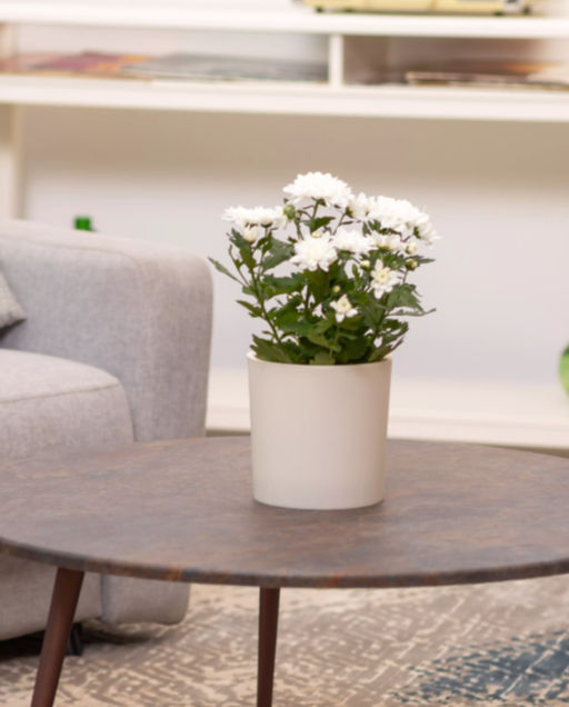 Горшок для цветов 2,5л d157 h156мм молочный Genius - Полимербыт фото 2