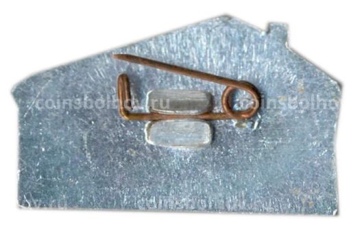 Значок Шушенское