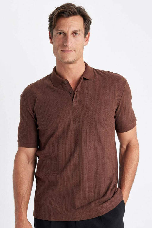Regular Fit K?sa Kollu Triko Polo Tisort - Defacto фото 7