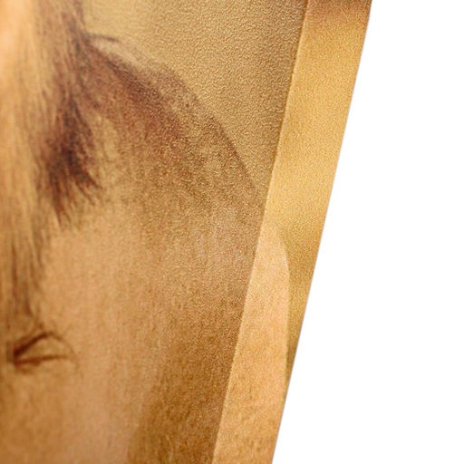 Модульная картина «Король саванны», (2-25×50, 30×60 см), 60×80 см