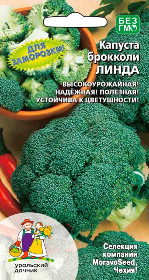 Капуста брокколи ЛИНДА Для заморозки просто чудо! Всегда стабильно высокие урожаи! Не зацветает!