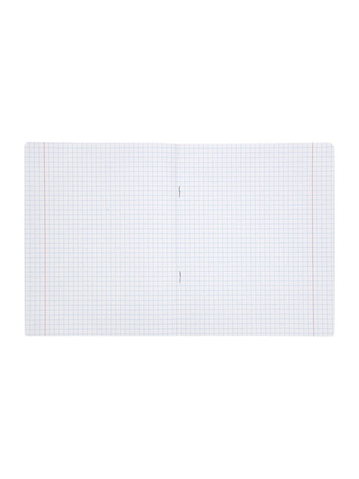 Комплект 12 тетрадей, 48 листов, клетка, 60гр, 4 вида, Цветы, софтач с выборрочным уф-лаком   109681