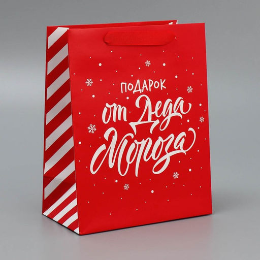 Набор новогодних пакетов «Новогодний подарок»