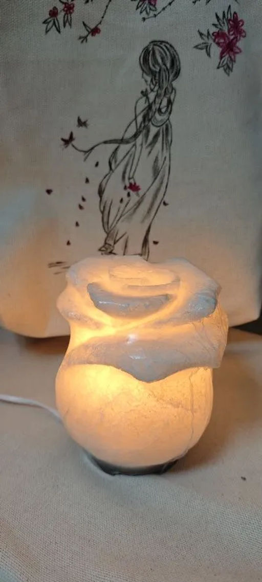 Роза Средняя лампа соляная