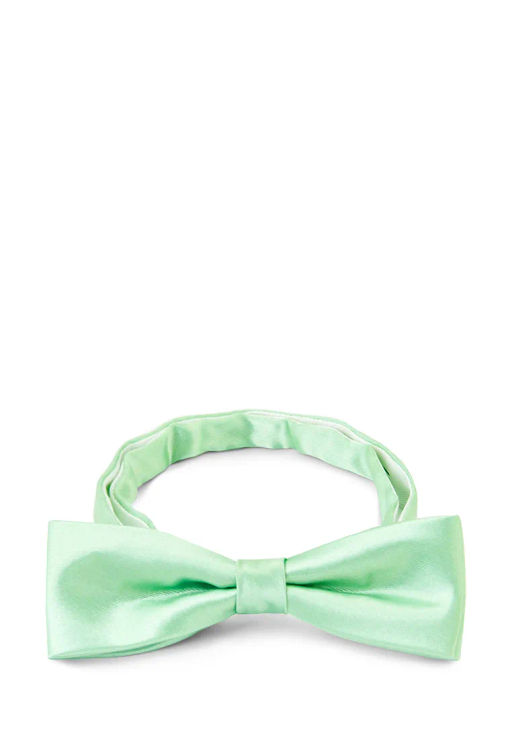 Галстук-бабочка мужской GREG Greg-poly 17-мятный одн.1.118