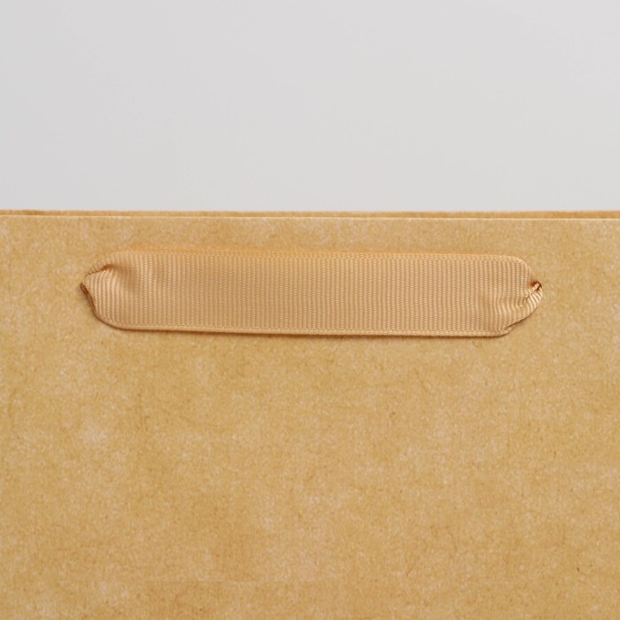 Пакет ламинированный Крафтовый, M 25.5 х 32 х 12 см - Дарите счастье фото 3