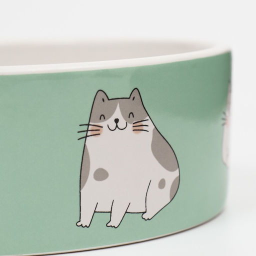 Миска керамическая Котяры 300 мл 12,5 x 4,5 cм, бело-зелёная - Пижон фото 4