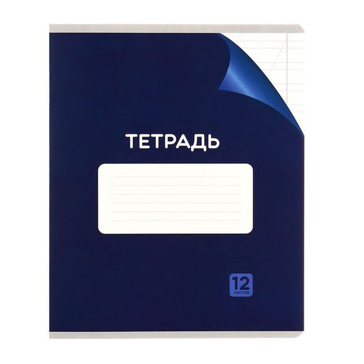 Комплект тетрадей из 10 штук 12 листов в косую линейку Однотонная Классика с уголком, обложка мелованный картон, ВД-лак, блок №2 (серые листы) - Calligrata фото 7