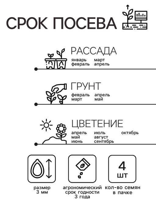 Семена комнатных цветов Пеларгония "Oранж", 4 шт.
