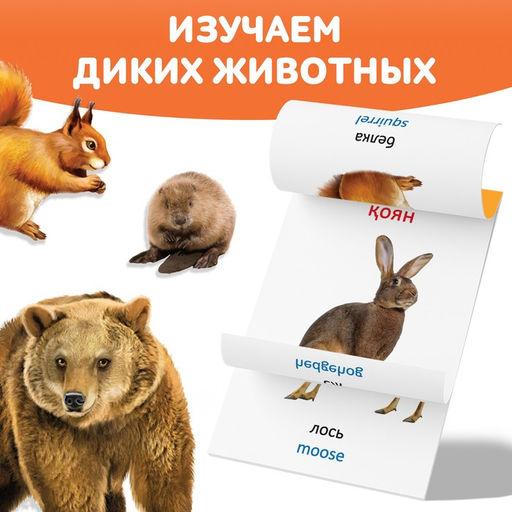 Книга по методике Г. Домана Дикие животные, на казахском языке - Буква-Ленд фото 3