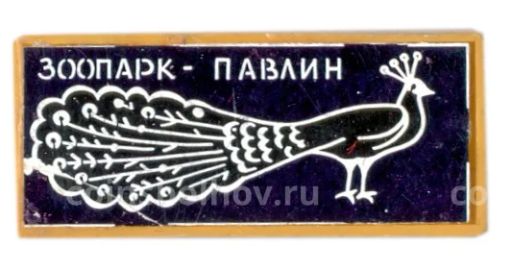 Значок Зоопарк - павлин