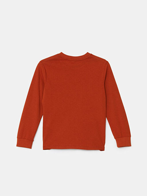 Bisiklet Yaka Erkek ?ocuk Ti??rt - Waikiki фото 2