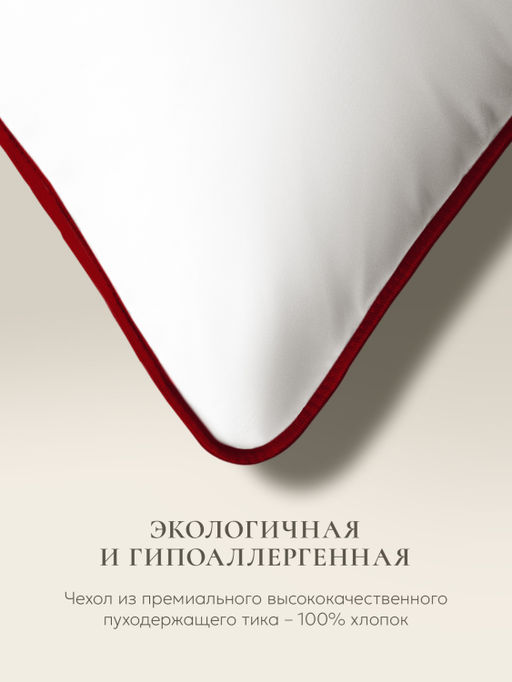 Подушка для тела "COMFORT U STANDART", 165х90, ЕС-2033