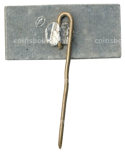 Значок Вильнюс