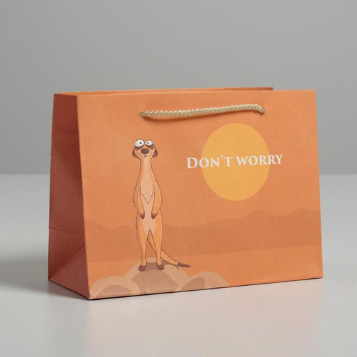 Цена за 2 шт. Пакет подарочный, упаковка, Don not worry, 14.5×19.5×8.5 см
