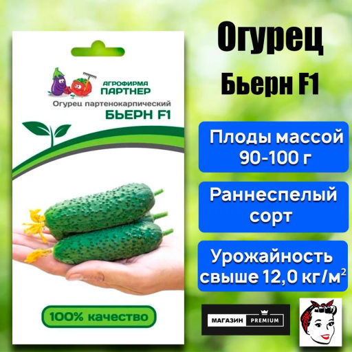 Огурец партенокарпический Бьерн - Партнер фото 8