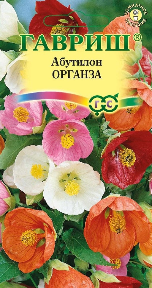 Абутилон Органза,смесь 7шт (г)