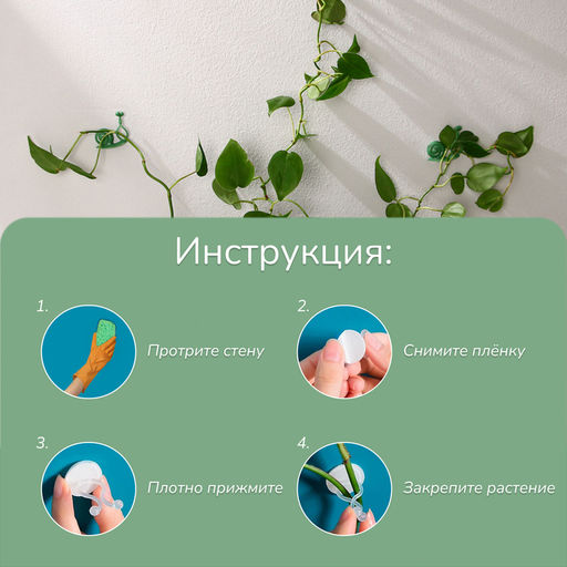Крепления для вьющихся растений, настенные, самоклеящиеся, Улитка, d=10 мм, набор 10 шт., Greengo фото 4