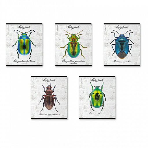 Цена за 5 шт. Тетрадь общая ученическая ErichKrause Жуки, 48 листов, клетка, мат. лам.+выборочный УФ-лак+тиснение фольгой+конгрев, доп.лист_MIX-PACK фото 2