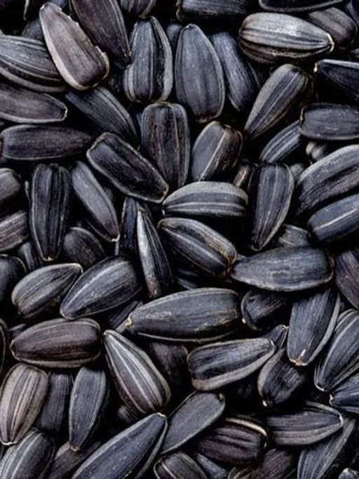 Семечки (624) СОЛЕНЫЕ подсолнечника обжаренные вес 100 г (Мишкино)