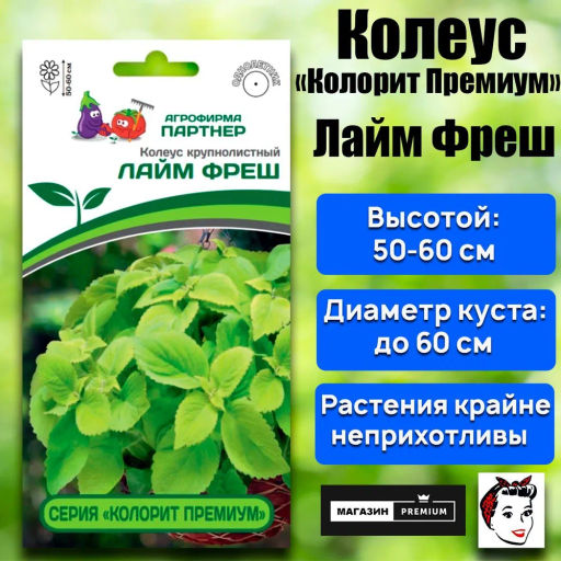 Колеус шлемниковидный крупнолистный Лайм Фреш - Партнер фото 2