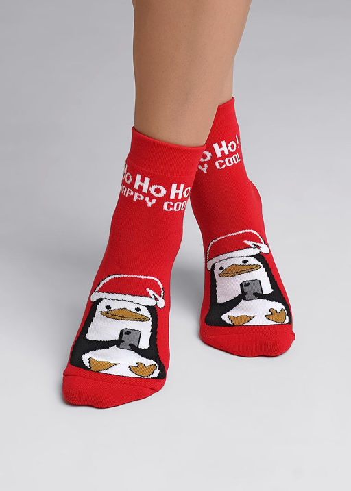 Носки женские НГ плюш - Clever wear фото 2