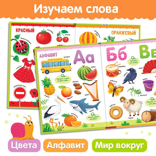 Книга в твёрдом переплёте «500 первых слов. Найди и покажи», 64 стр.