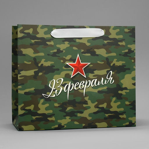 Цена за 2 шт. Пакет подарочный ламинированный, упаковка, С 23 февраля, ML 27?23?11.5 см