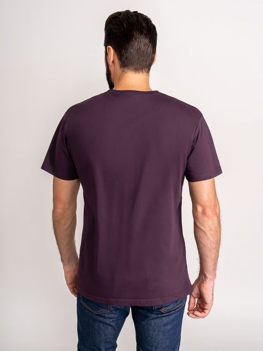 Футболка мужская короткий рукав GREG G145-RD-7020 (фиолет)  фото 6
