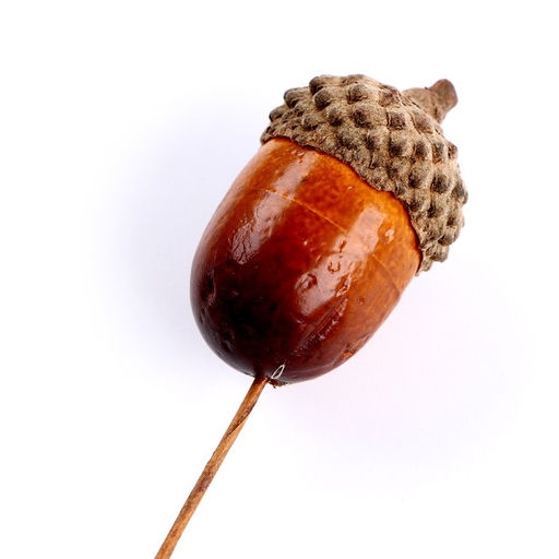 Декор для творчества «Желуди» набор 20 шт., 3×2 см