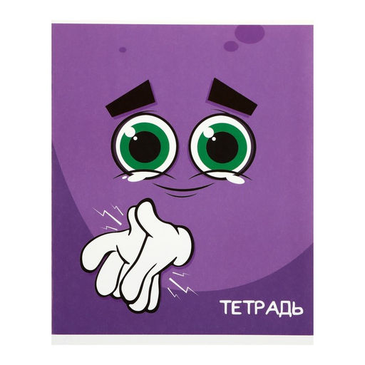 Комплект тетрадей из 10 штук (5 видов по 2 штуки), 48 листов в клетку Calligrata Смайлики, обложка мелованный картон, блок офсет фото 5