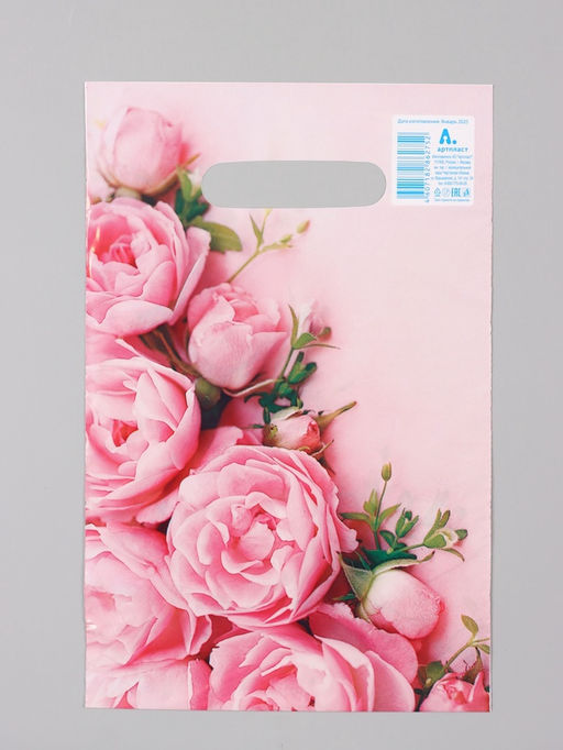 Цена за 100 шт. Пакет "Ненси", полиэтиленовый с вырубной ручкой, 20 х 30 см, 30 мкм