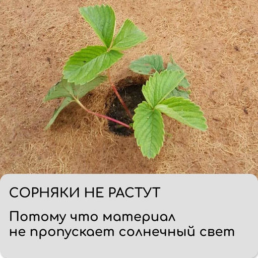 Кокосовое полотно для мульчирования, 3×1 м, «Мульчаграм»