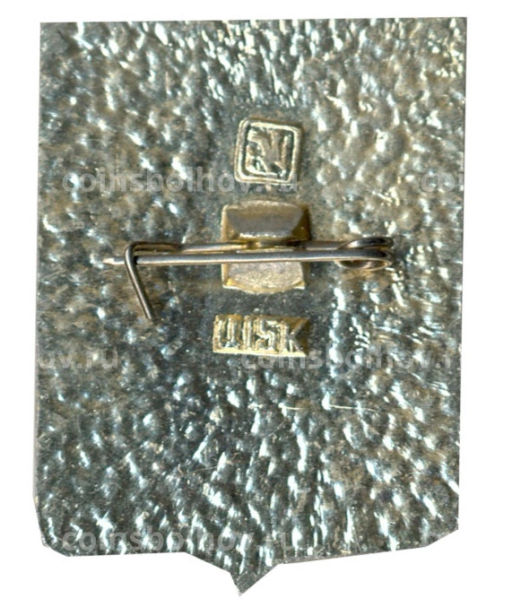 Значок Мензелинск