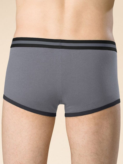 PELICAN, трусы мужские, Серый  фото 2