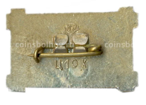 Значок Саясана деревянная изба