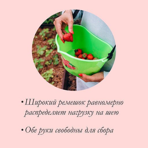 Цена за 2 шт. Ёмкость для сбора ягод, 3 л, «Малина»