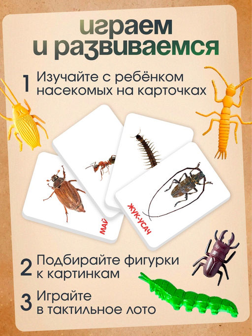 Развивающий набор с карточками Мир насекомых, по методике Домана - Iq-zabiaka фото 6