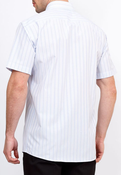 Сорочка мужская короткий рукав GREG Gb121/309/409/Z  фото 10